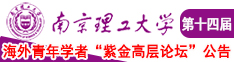 不要好痛在线观看爆操南京理工大学第十四届海外青年学者紫金论坛诚邀海内外英才！